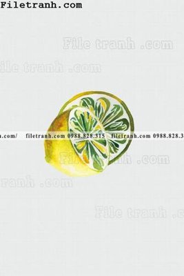 File in trần tranh ve hoat hinh phong tre em 333 (bản gốc) mây trời