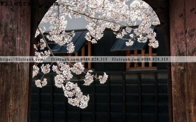 File in trần tuong nen xu huong quoc gia 198 (bản gốc) 5D